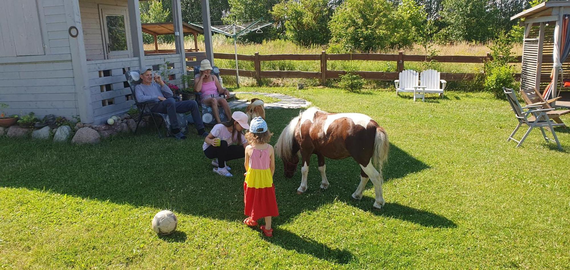 Magia Krutyni Villa Bagian luar foto